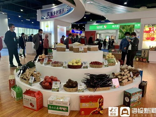 第九屆蘭陵蒼山蔬菜產(chǎn)業(yè)博覽會(huì)暨第九屆沂蒙優(yōu)質(zhì)農(nóng)產(chǎn)品交易會(huì)盛大開幕
